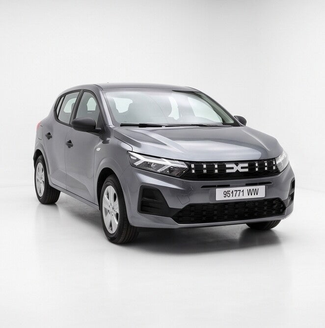 Dacia Sandero Gris